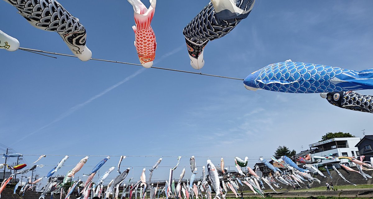 めっちゃ鯉のぼりでした🎏