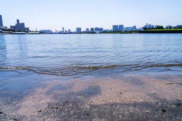 water's edge🌊

#a7r5 #Summer #初夏
#お台場 #波打ち際 #浜辺 #砂浜
#photo #photography #キリトリノセカイ
#写真好きな人と繫がりたい
#Tokyo #Japan