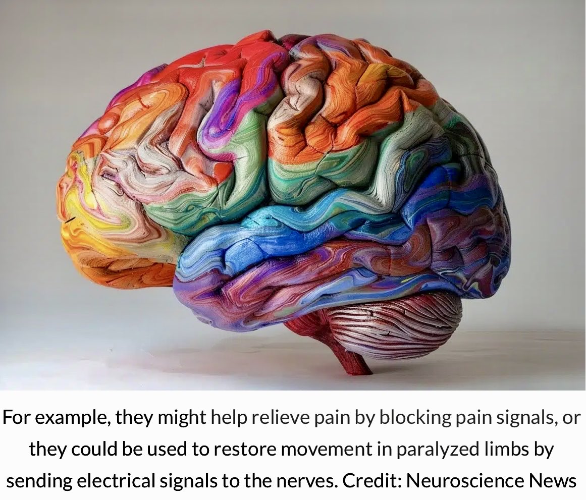 🧠 Tiny #Robotic #Nerve Cuffs Promise #Breakthrough in Neurocare

Source: @Cambridge_Uni 

#neuroscience #neurology #robot #sensortech #softrobotics #Epilepsy #TechForGood 

👉neurosciencenews.com/robotic-nerve-…

Researchers have developed #tiny, #flexible devices that can wrap around…