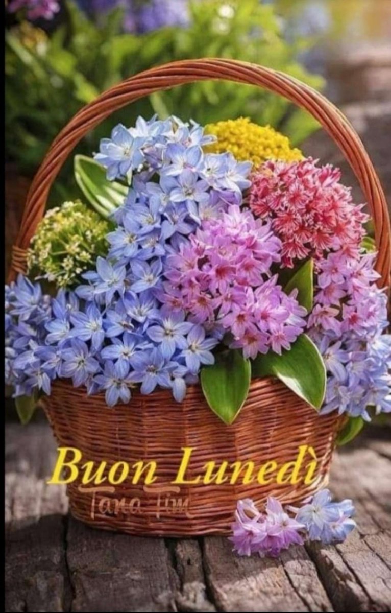 @Betty22754996 Buongiorno e buon lunedì Betty un abbraccio forte 💖