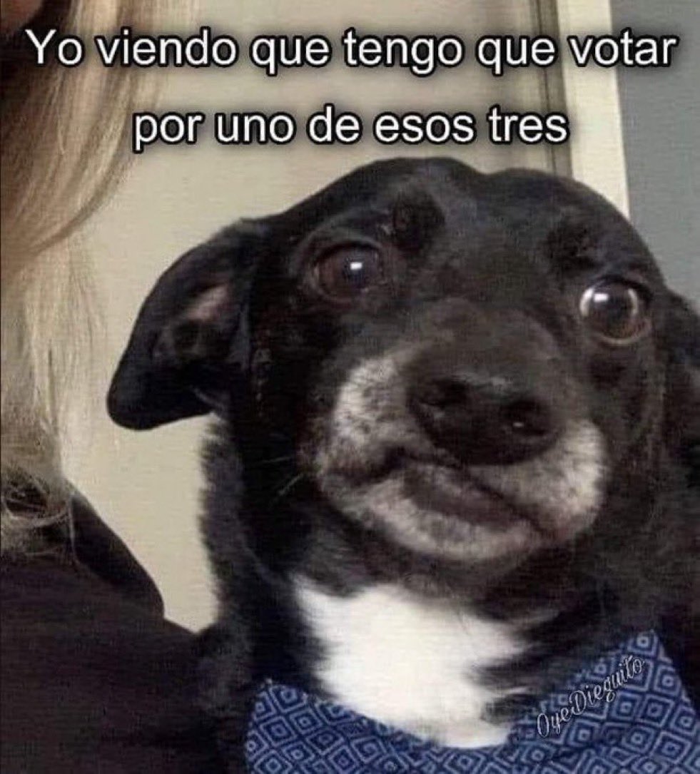 Guarromantico_'s tweet photo. Ayno! #DebateINE https://t.co/pUY1iFdxcW