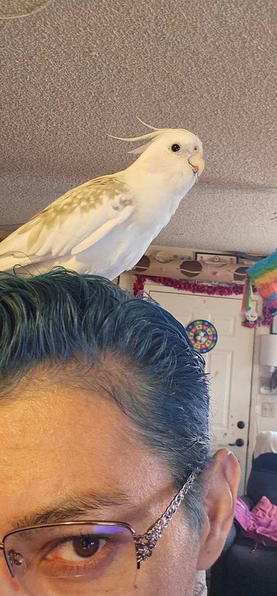 MezyHuiz's tweet photo. @joncoopertweets My baby Yoshi https://t.co/mppL8dSkv5