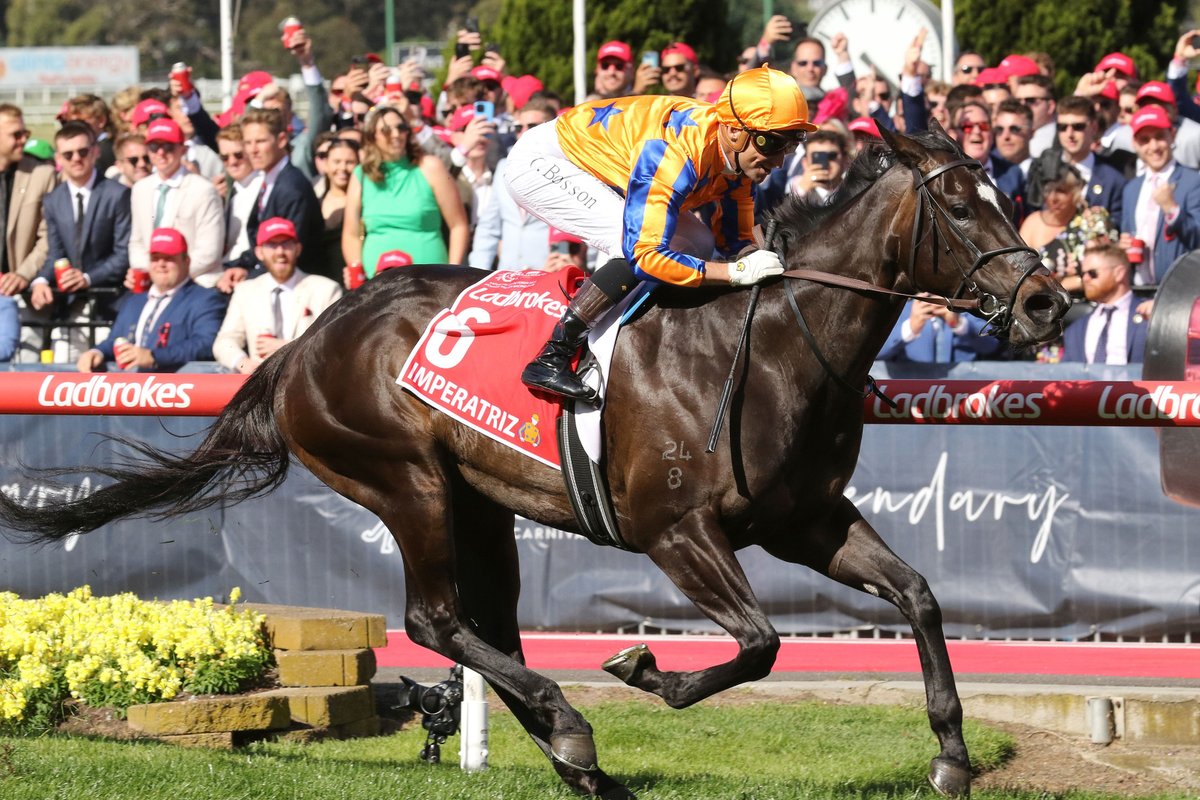 BREAKING NEWS: World’s Highest Rated Mare Set To Make History at National Champion sprinter Imperatriz, currently rated the world’s best mare on the Longines World’s Best Racehorse Rankings, will be offered at next month’s National Broodmare Sale. Read: magicmillions.com.au/worlds-highest…