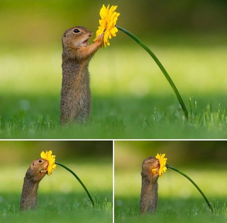 Una bella fotografía 💛🌳