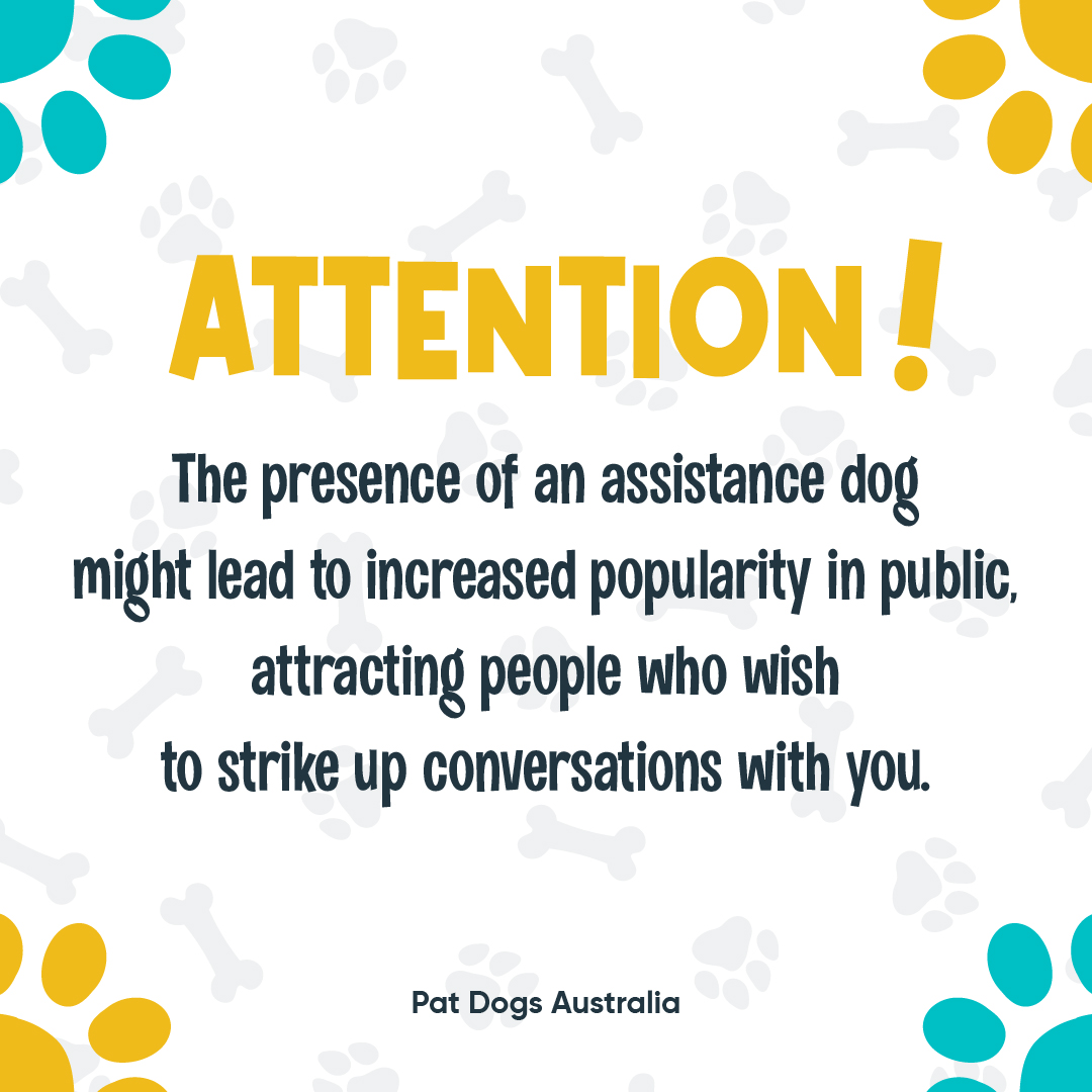 Ever noticed how an assistance dog can be a conversation starter in public? 😎🐾✨ #assistancedogs #therapydogs #mentalhealth #iliketopatdogs