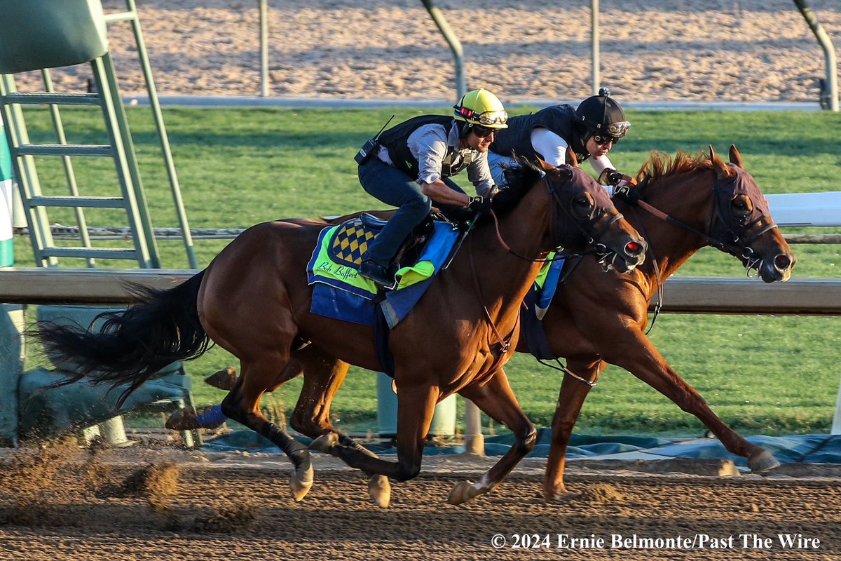 Muth (outside, 6F: 1:12.40 H) working this morning in company with Tour Player (inside, 6F: 1:12.40 H).