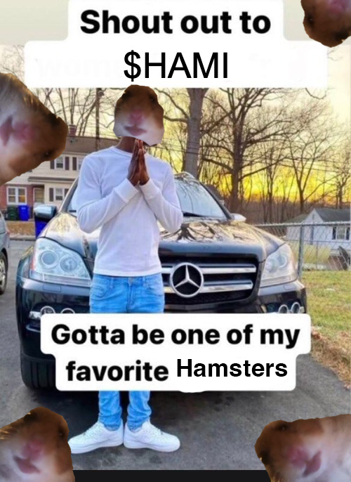 😤🐹