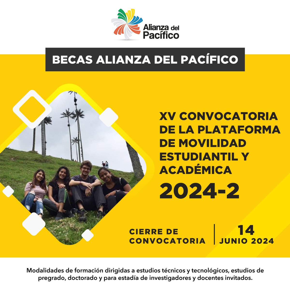 🙋🏾🙋🏻‍♂️ La Plataforma de Movilidad Estudiantil de la #AlianzaDelPacífico incluye modalidades de formación dirigidas a estudiantes de carreras técnicas y tecnológicas, pregrado, doctorado, investigadores/as y docentes. Convocatoria disponible en 👉 becas.alianzapacifico.net #BecasAP