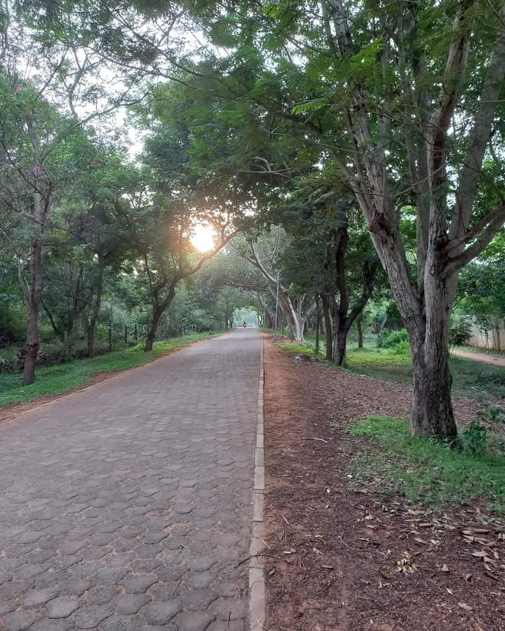 Glad to be back home.... The air conditioned comfort of hotel rooms doesn't make me as happy as this environment does. So what if the sun rises very early (Auroville means City of Dawn) and the humidity is quite high. I felt suffocated right through my 3 day trip in 2 big cities