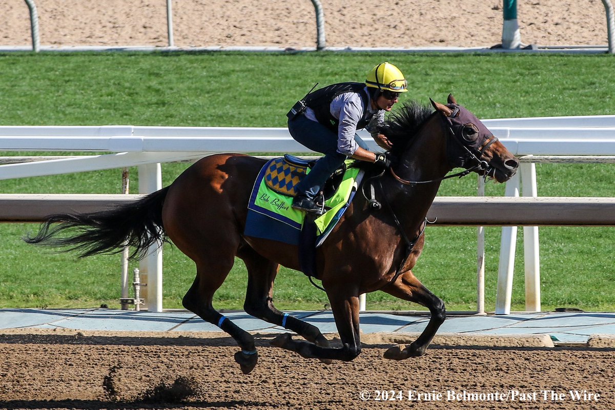 Coach Prime (6F: 1:12.00 H G) working this morning.