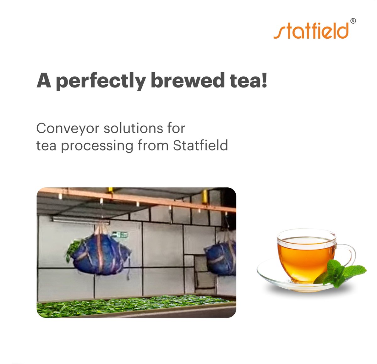 Statfield’s conveyors ensure the precision transfer of tea leaves across the tea manufacturing unit helping the tea manufacturers bring the best quality tea to their customers

#OverheadConveyor #MaterialHandling #ChainConveyor #TeaManufactures #TeaProcessing