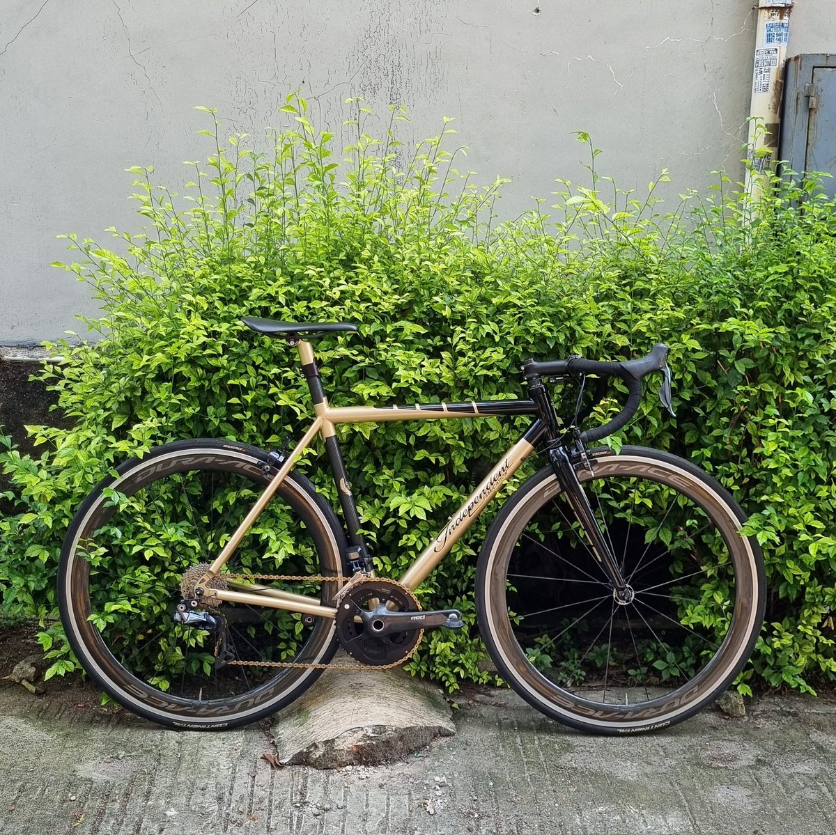 Fullbike independent fabrication carbon titanium size 50 c-c
Gs dan wheelset C60 Dura ace Di2 9150 berk saddle enve dropbar 89jt nego #fnfjb