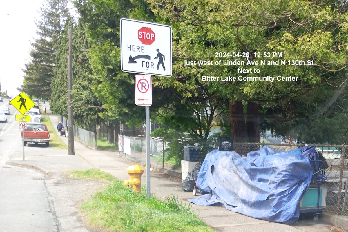 2024-04-26  12:53 PM, just west of Linden Ave N and N 130th St in north #Seattle. Next to Bitter Lake Community Center. @MayorofSeattle @VisitSeattle @KingCountyMetro @SeattleCouncil