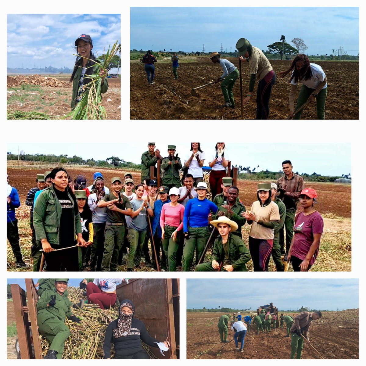 Provechosa jornada de producción dominical, dedicaron los jóvenes de verde olivo que se forman como futuros miembros del Gran Ejército de Batas Blancas.
#DeFidelLasIdeas 
#MiUniversidadEsMiPaís 
<a href="/LogVanguardia/">Logística de Vanguardia</a> <a href="/Ucimed_Cuba/">Jóvenes Por La Vida</a> <a href="/yordi_maqueira/">ymaque</a>