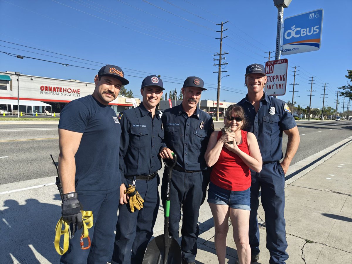 the firefighters gave it a go. As you can see, with some ingenuity, technical skills, a box, can of tuna, and a meow sound video from YouTube, they were able to rescue the feline. We’re happy to report the kitten is ok and has found a foster home.