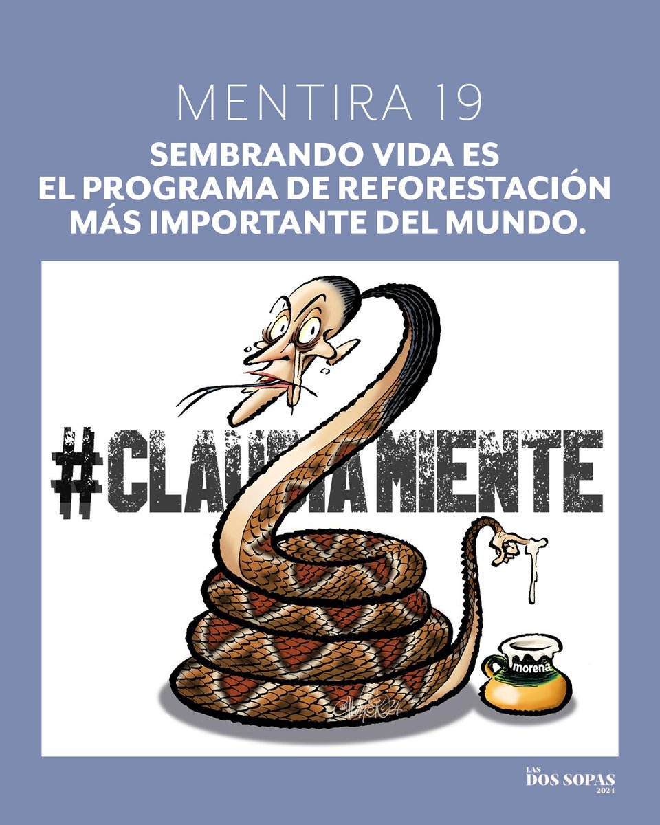 MENTIRA 19: Sembrando vida es el programa de reforestación más importante del mundo. #ClaudiaMiente #SegundoDebate #DebateINE #DebatePresidencial2024 #LaCandidataDeLasMentiras