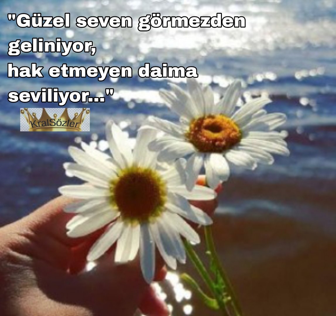 🖤🥀 'Güzel seven görmezden geliniyor, hak etmeyen daima seviliyor...' #Günaydın güzel insanlar #Rojbaş #KralSözler 🖤🥀