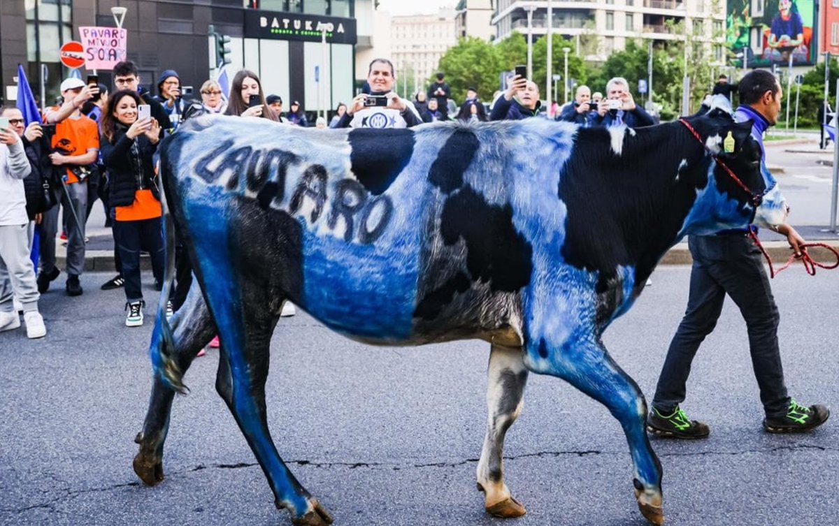 glfelicetti's tweet photo. Una #festascudetto a Milano rovinata dal maltrattamento di una mucca (noi verifichiamo gli estremi di reato con @_Carabinieri_ ).
Lo scorso anno l’asinello usato per lo scudetto del Napoli.
Nemmeno in un giorno così felice si lasciano stare gli animali. Che tristezza https://t.co/f2hPX7PEv6