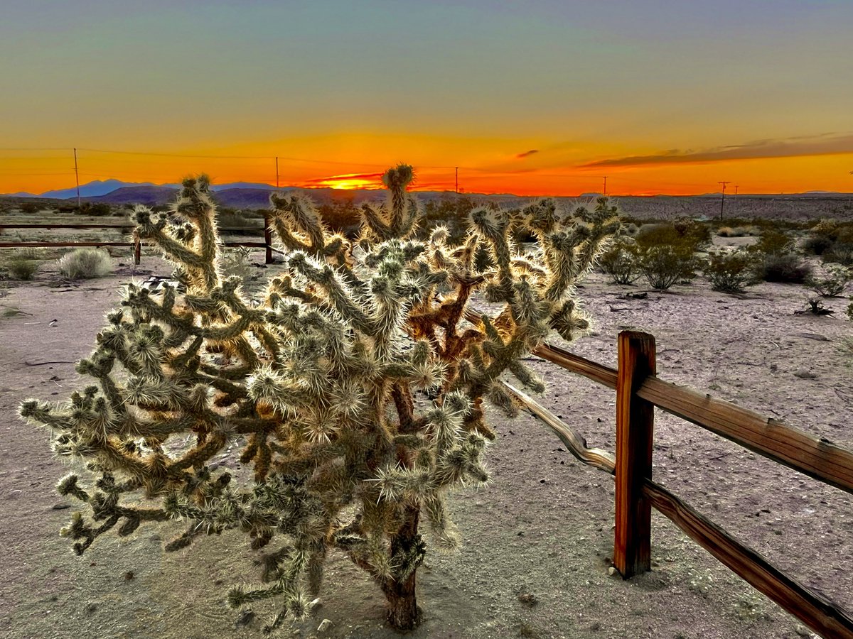 Goodnight @JoshuaTreeNPS #Sunsets @ThePhotoHour