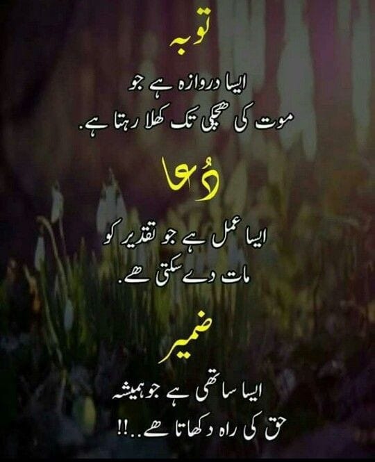 اگلی پروموشن لسٹ کے لیے
❤️لائک  🔄ری ٹویٹ اور🗨️ کریں
<a href="/fizasaleem531/">Fizza Hashmi</a>
@kasjif_sadiq_7
@abdulhanan0063
@Rana27k
@simplegirl1__
@ShamraizAK4217
<a href="/WaqasAn80189191/">Waqas Anjum</a>
<a href="/_drt0/">DR Tanveer</a>
<a href="/ka20747/">الملكي kasim</a>
@khalidN83334373
@waqasyasin92
<a href="/cmes2211/">Zahid Yasin PTI</a>
<a href="/WaqasY24798/">PTI Rider Star</a>
@FarhanRiaz_07
<a href="/Amaliainc/">پانچواں درویش</a>