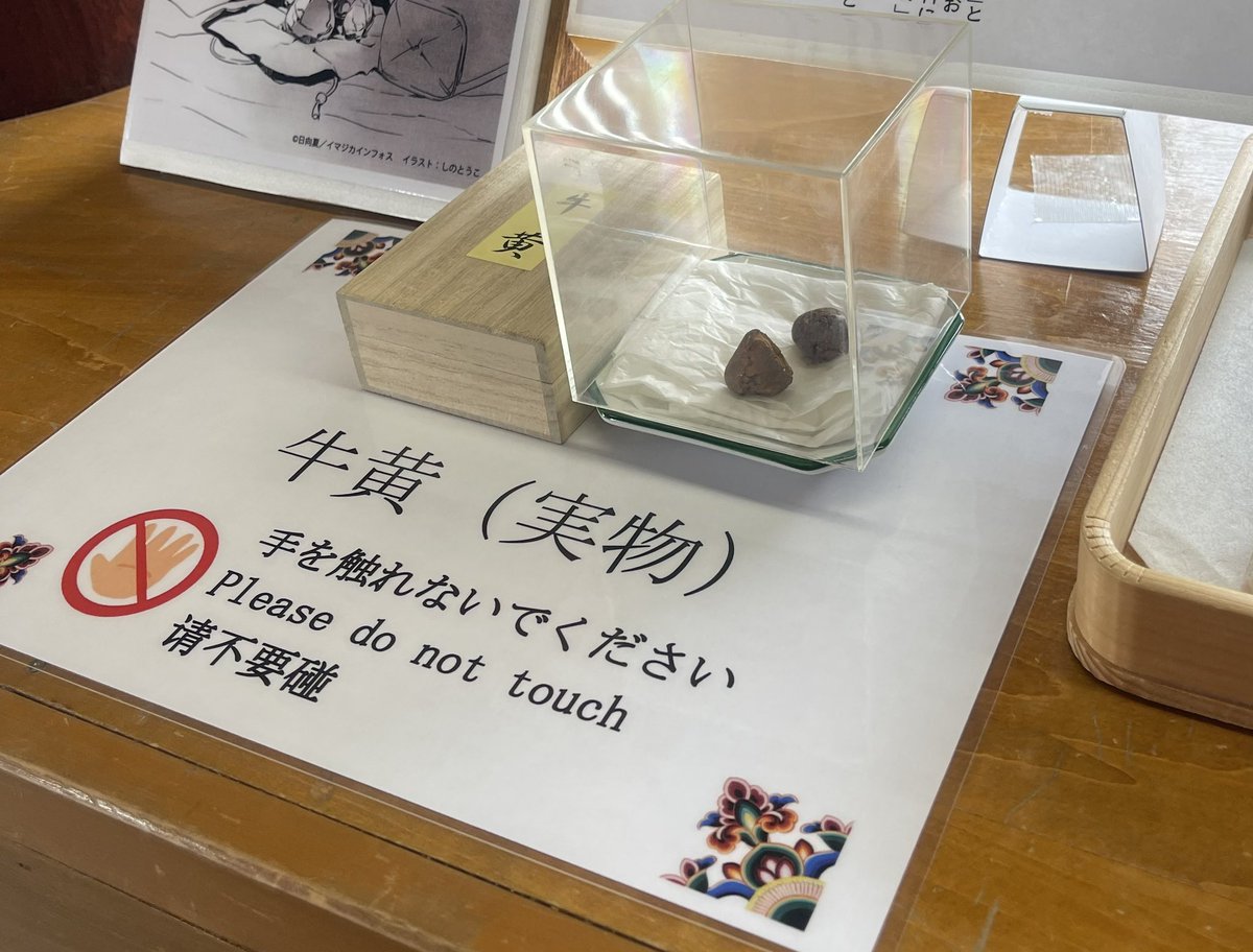 薬屋のひとりごと展開催中の薬師寺では本日より本物の「牛黄」を見ていただきたいと思い、金堂に展示してしまいました！
リアル牛黄が見れます！
ぜひ薬師寺にお越しください！
 #JR東海
 #薬屋のひとりごと
 #薬師寺
 #牛黄
 #牛王
 #牛玉
 #リアルゴールド
 #じゃないよ