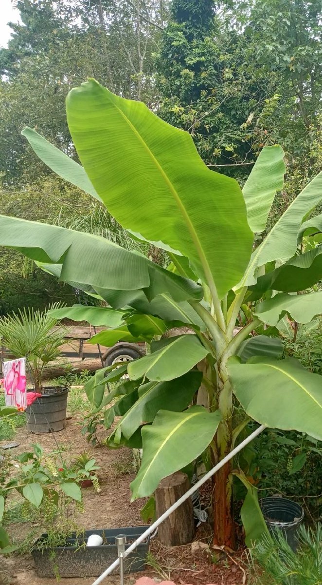AllenD556 tweet picture