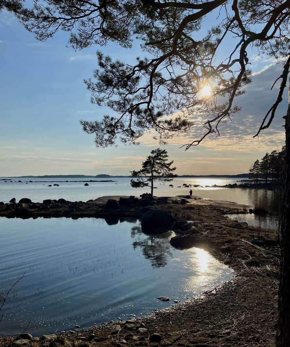 Matinsaaren ilta 🌤️