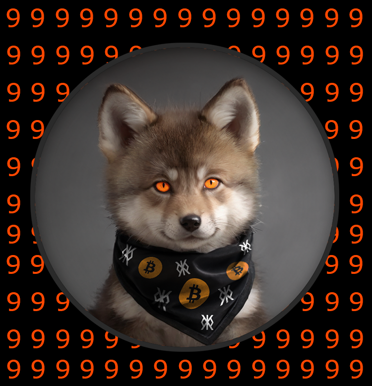 #WOLFPACK repost if you want to send it! $LOBO •THE•WOLF•PUP is the 9th rune to be etched on #Bitcoin! Where to buy $LOBO 🐺? @MEonBTC @okx web3 @unisat_wallet @gate_io @BitrueOfficial More listings coming!