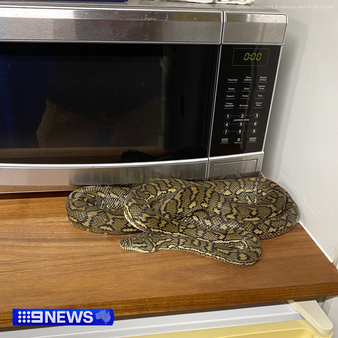 9NewsQueensland tweet picture