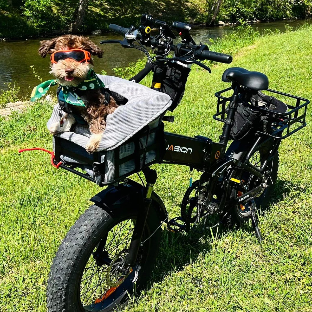 The doggie social scene is blowing up! Why? Because they're gearing up to hop on the Jasion® X-Hunter Ebike for an exhilarating forest adventure! Guaranteed to make your furry friends green with envy!
#jasionbike
#jasionxhunter
#jasioneb7
#doglover
#jasioneb7st
#DogAdventure