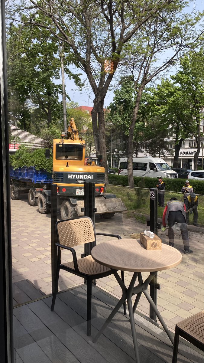 Сонун турган бадалдарды эмнеге казып атышат? <a href="/bishkekcityhall/">Мэрия города Бишкек</a>