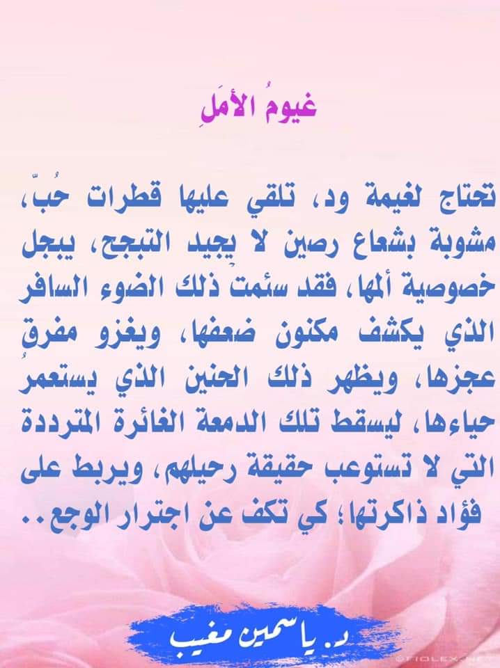 Lolly (@layanahmed74206) on Twitter photo 