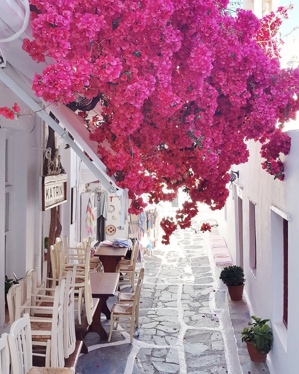 Mykonos, Greece 🇬🇷