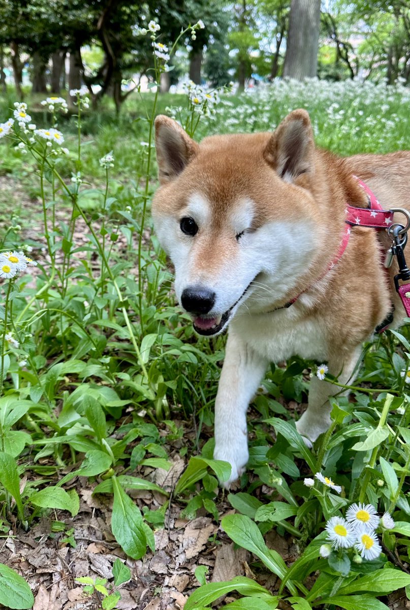 るんるん✨