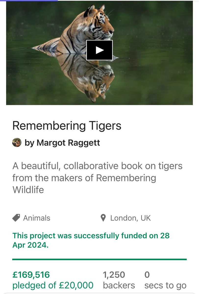 Margot Raggett MBE tweet media