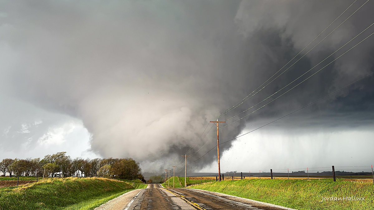 Jordan Hall tweet media