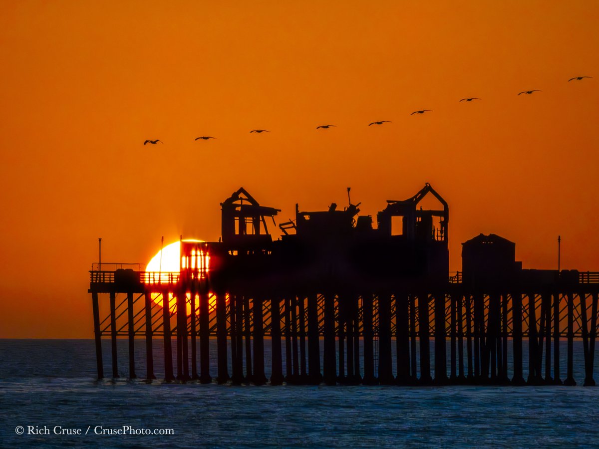 Pelicans soar over the #OceansidePier at #sunset. #StormHour #ThePhotoHour #CAwx #SanDiegoWX @VisitOceanside  @visitsandiego @VisitCA #NikonCreators @NikonUSA #NikonP950