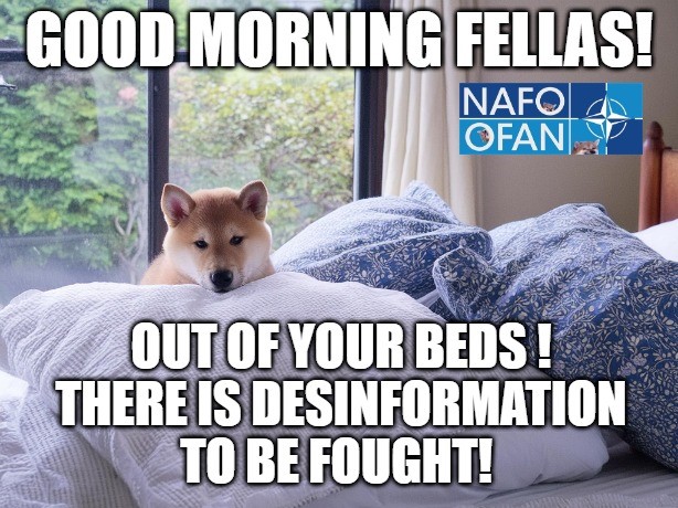 Good morning #NAFOfellas! Out of your beds! There is Desinformation to be fought!