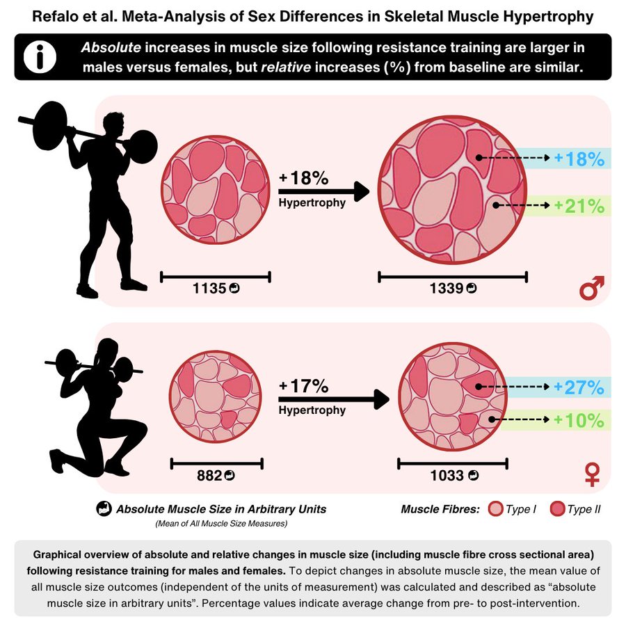 Resistance training builds muscle - but do males respond differently to females? Our new meta-analysis (in peer review) led by @MartinRefalo found: - Males on average grow more muscle (in absolute terms) - But relative changes in muscle size from baseline levels were similar