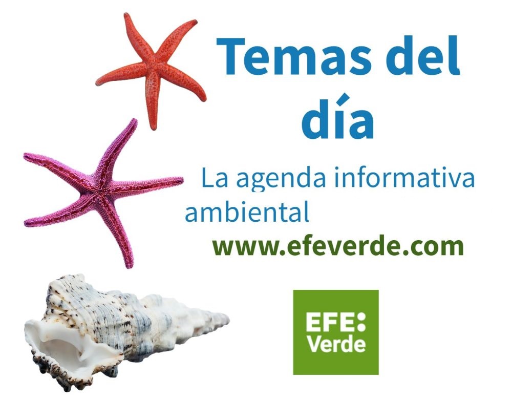 Hoy será noticia ambiental...    

#AgendaAmbiental de EFEverde / 29 de abril

efeverde.com/hoy-sera-notic…