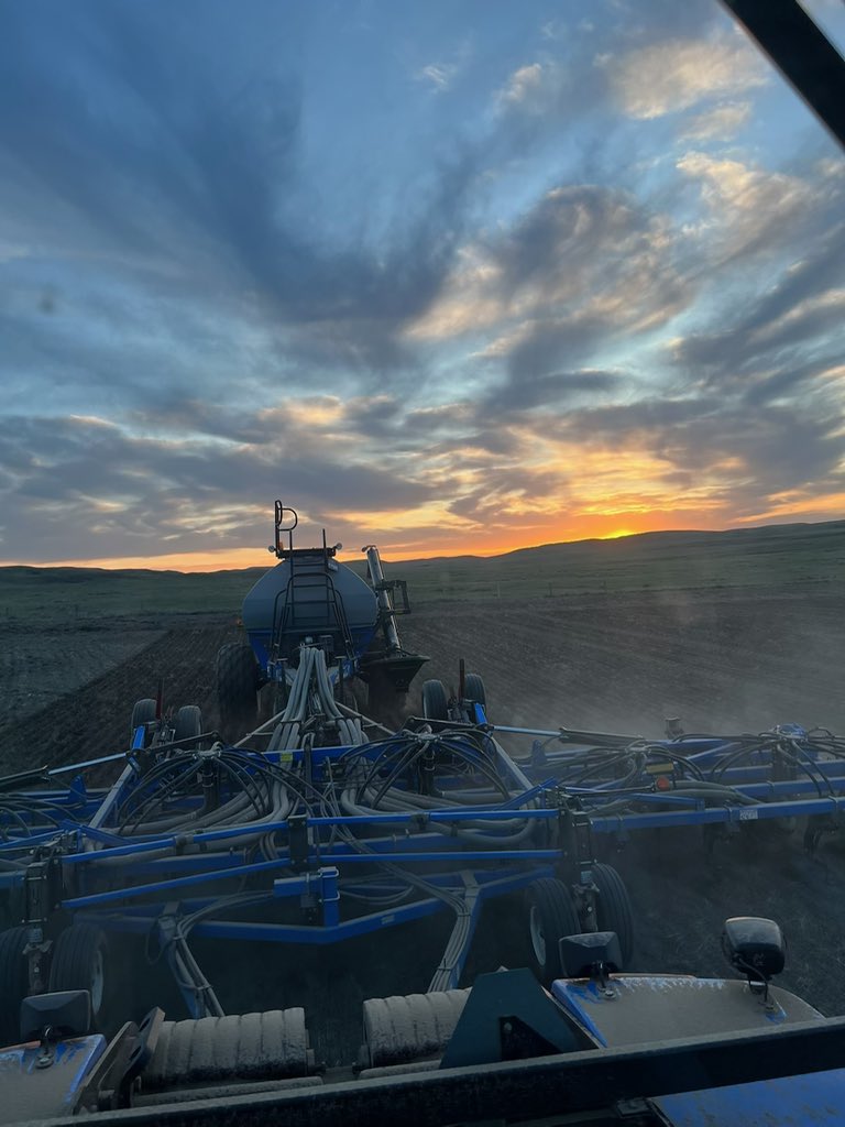 Seeding sunset. #plant24