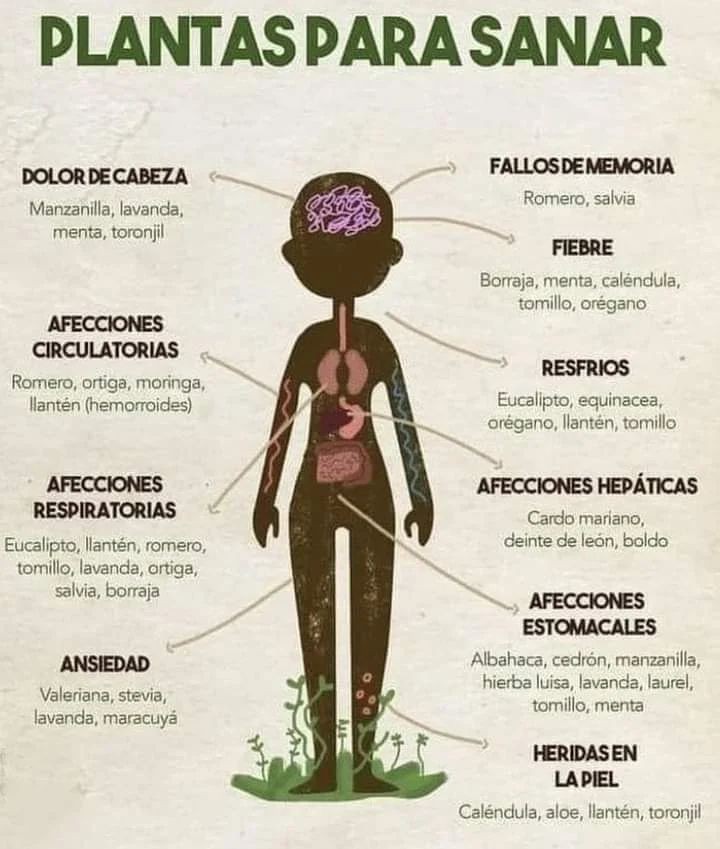 DATOS MÉDICOS (@DATOSMEDIC0S) on Twitter photo 2024-04-29 04:19:34