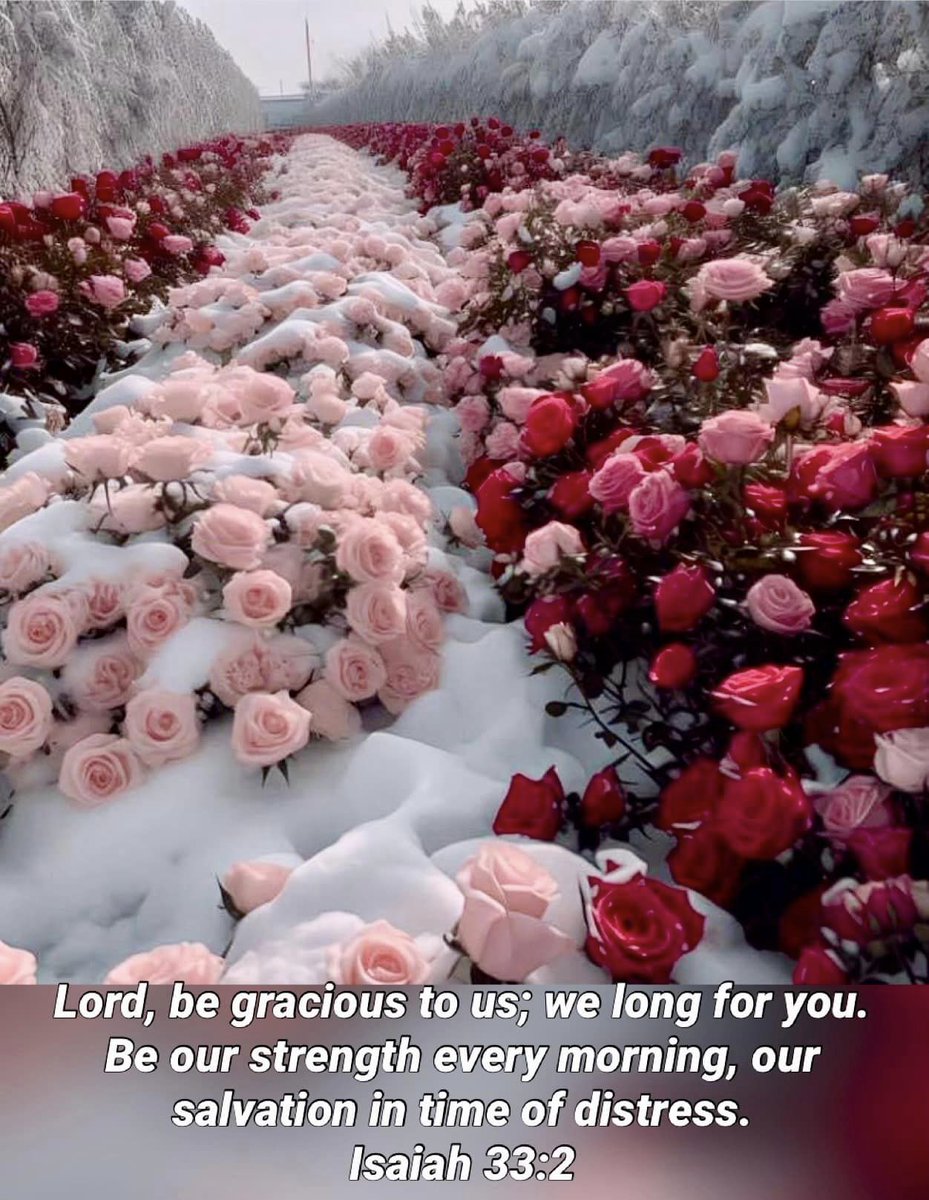 Isaiah 33:2 Lord, be gracious to us; we long for you. Be our strength every morning, our salvation in time of distress.