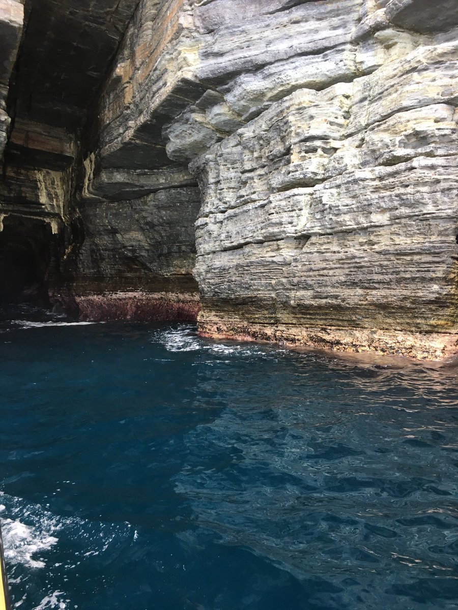 sheigagli's tweet photo. Tasman Island in Tasmania, Australia #Australia #Tasmania #holidays #holiday 
Visit my YouTube channel to see sea lions and more videos: https://t.co/YOTrVXugav https://t.co/iCajcYowp1