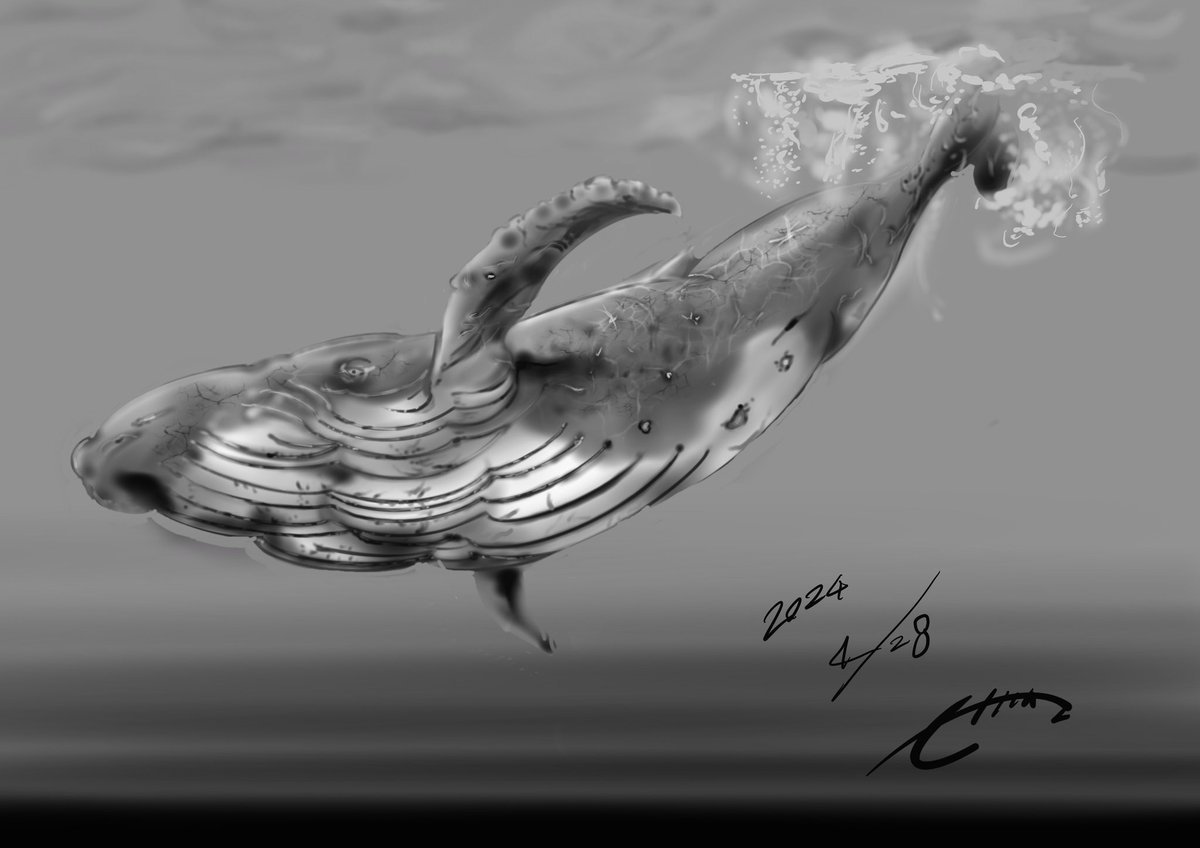 afterdominico14's tweet image. おっは魚ｻﾞﾏｽ‼︎
#OLASM 今日のお魚
ザトウクジラ‼︎