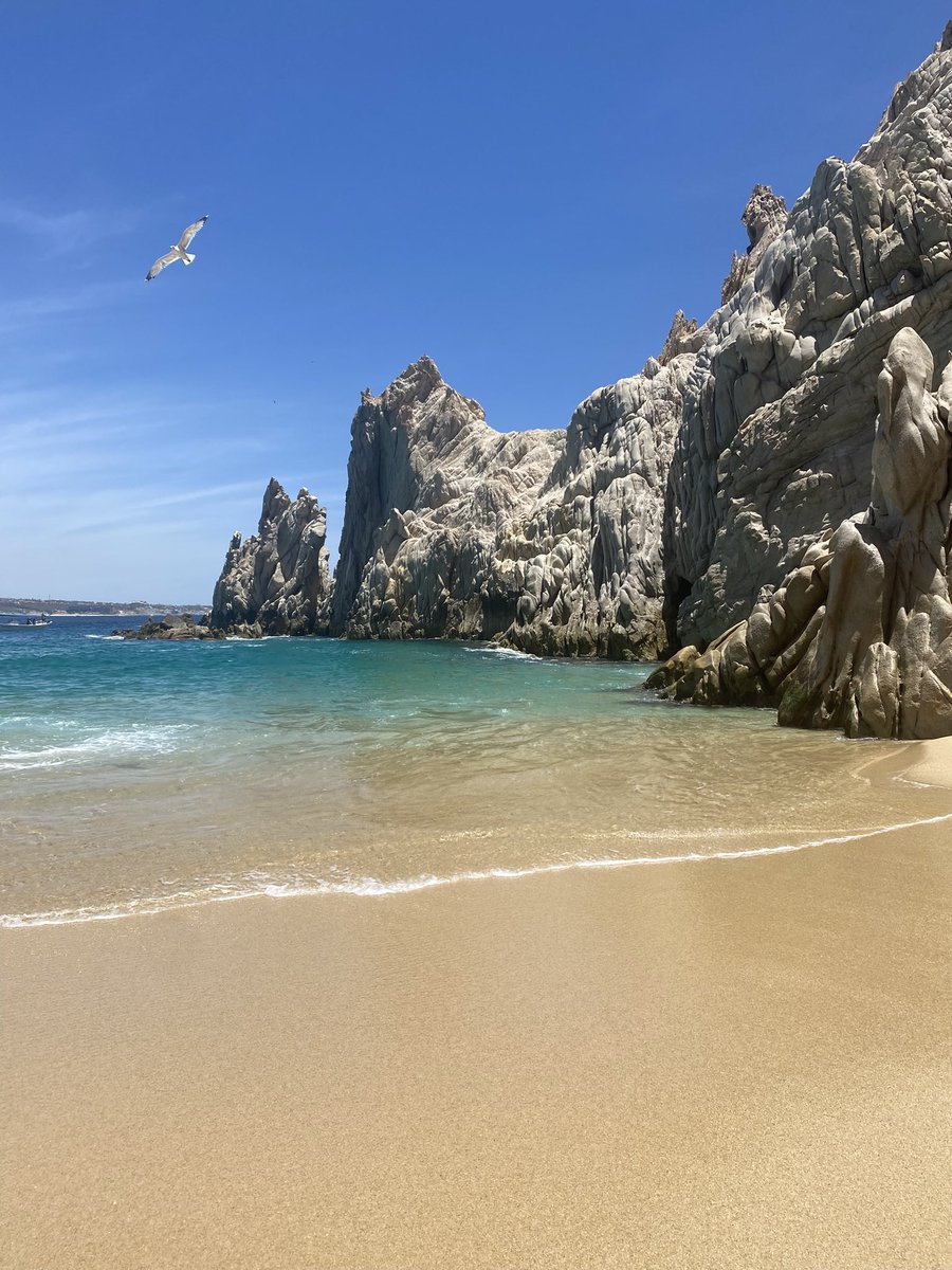 Luke Williams tweet media