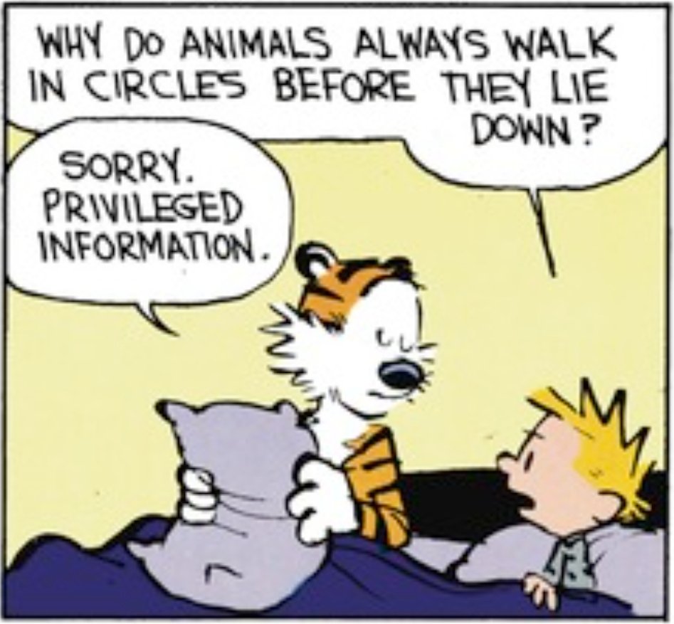 #CalvinAndHobbes