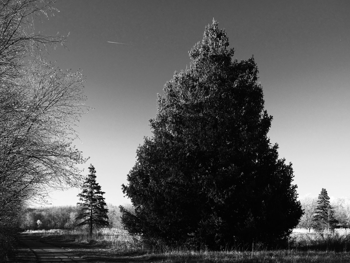 JimHarperPhoto's tweet photo. #photography #landscape https://t.co/qIhPS9msCd