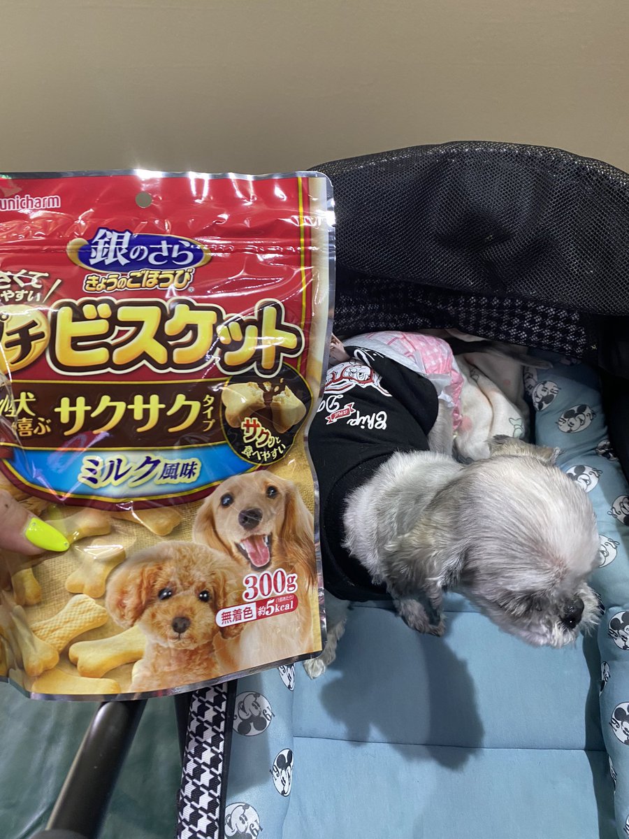 ntmjj's tweet photo. #マナーウエア https://t.co/D1MR7AK8e4