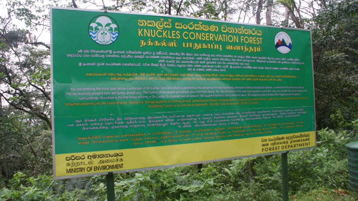 BonaFide77777's tweet photo. Exploring the delicate beauty of Knuckles Conservation Forest 🌿 Nature's masterpiece at its finest! Let's cherish and protect this wonder.
#KnucklesForest #NatureLovers #Conservation #Biodiversity #SriLanka #EcoTourism #Wildlife #GreenBeauty #ExploreNature #ProtectOurPlanet #HikingAdventures #Rainforest #SustainableLiving #Preservation #NaturalHeritage
